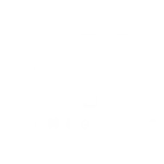 Logo Ana Hickmann