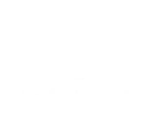 Logo Ana Hickmann
