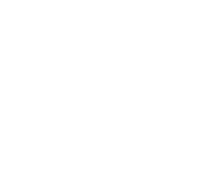 Logo Braslab