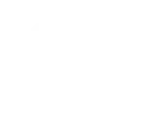 Logo Essilor