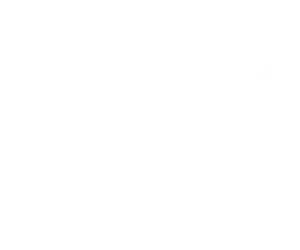 Logo Puma