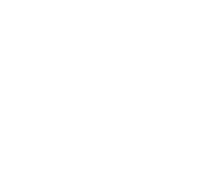 Logo Zeiss